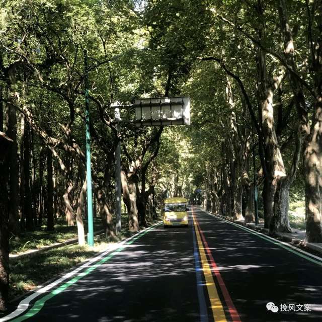 文案|风景治愈文案适合发朋友圈.