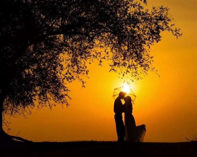 爱情不分年龄经典语录