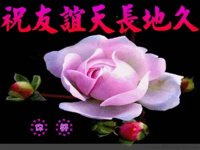 真正的朋友,不分年龄、贵贱.