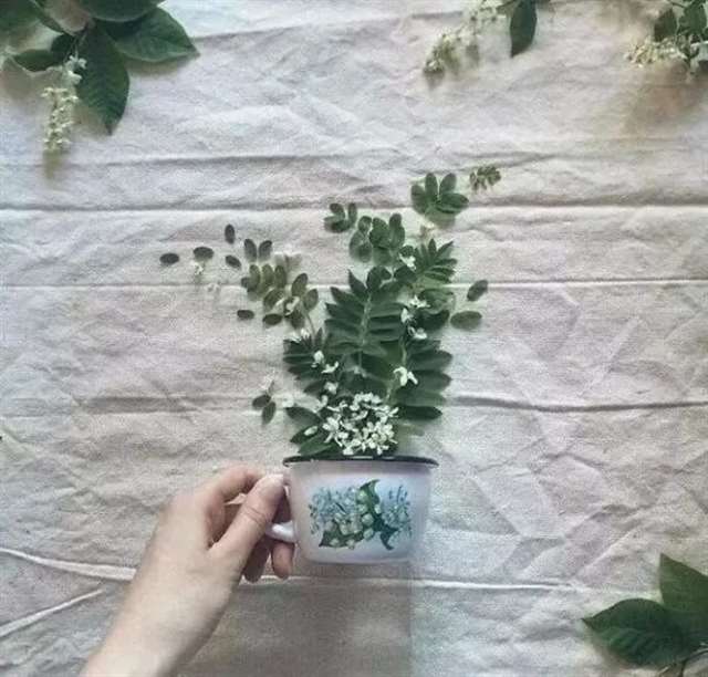 7月最新经典语录,最适合做个性签名!