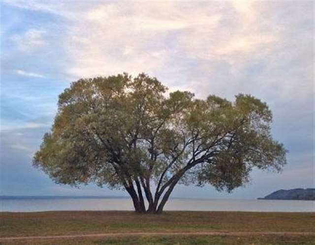 人的成熟不是年龄,而是心态!