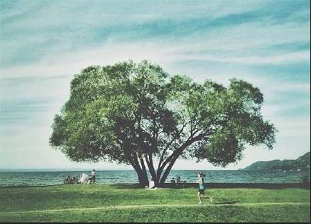 人的成熟不是年龄,而是心态!