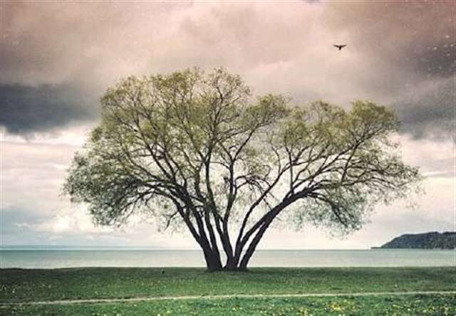 人的成熟不是年龄,而是心态!