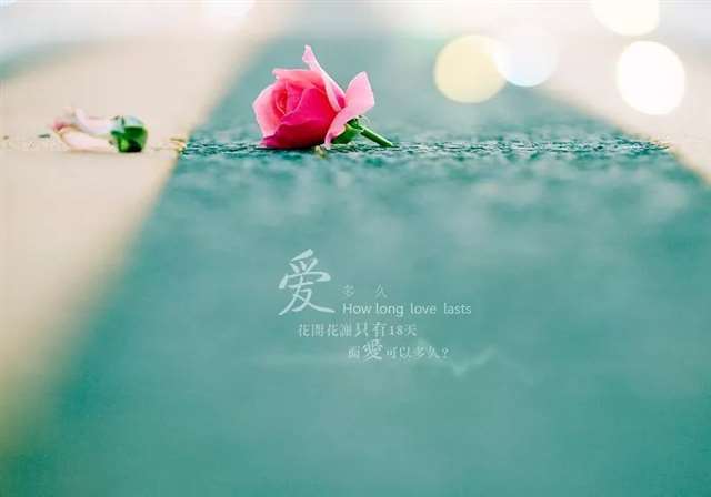 经典情感语录,句句精辟