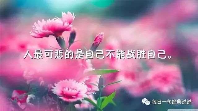 最让人心疼的情感语录,送给爱而不得的你!