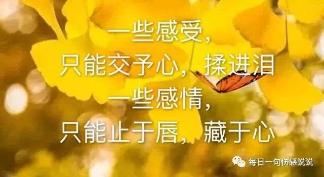 让人潸然泪下的句子,越看越揪心,送给爱而不得的你!