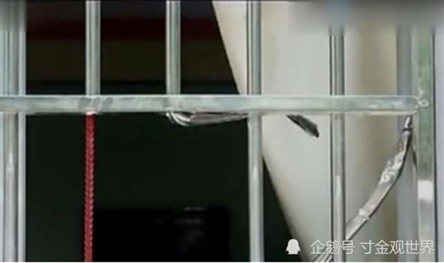 新婚屈辱系列 新婚侵犯挣扎呻吟求饶