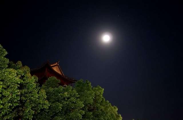 7字爱情诗词             七个字表达爱情        