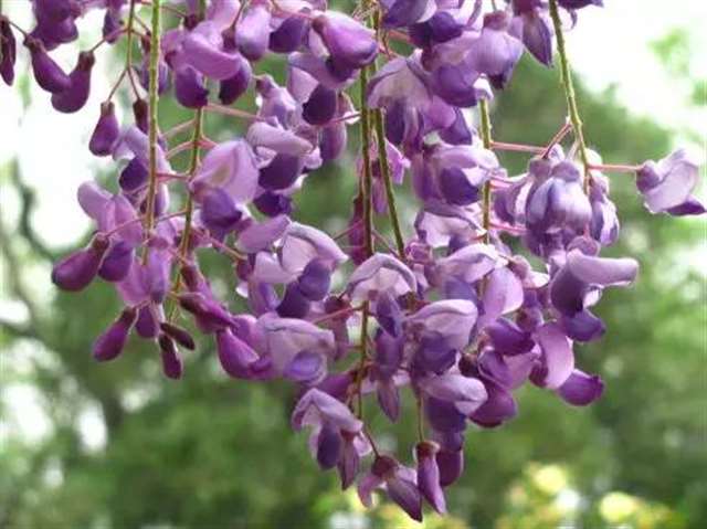 七首最美的中国现代情诗