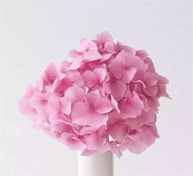 七首经典至极的现代情诗,美醉了