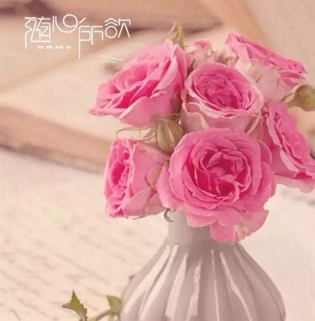 七首经典至极的现代情诗,美醉了