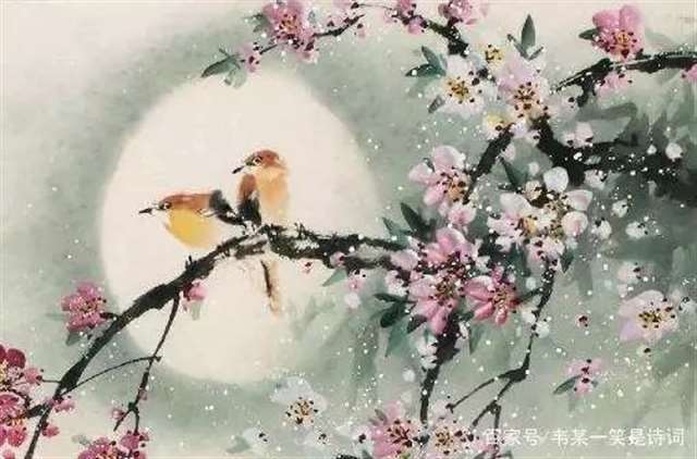 10首非常短的古代爱情诗词,首首经典,字字珠玑