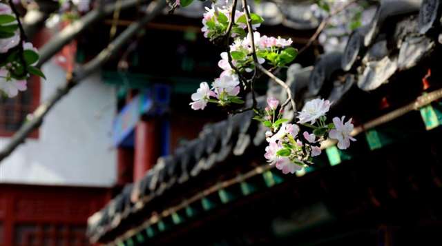 10首意境优美古诗词,惊艳了时光,温柔了岁月