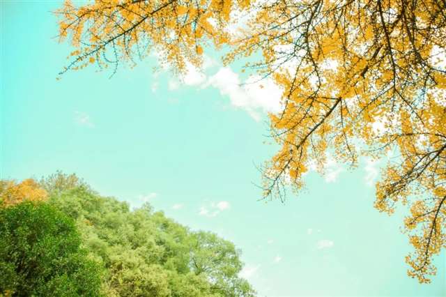 10首意境优美的小诗,美了眼,醉了心,惊艳了时光