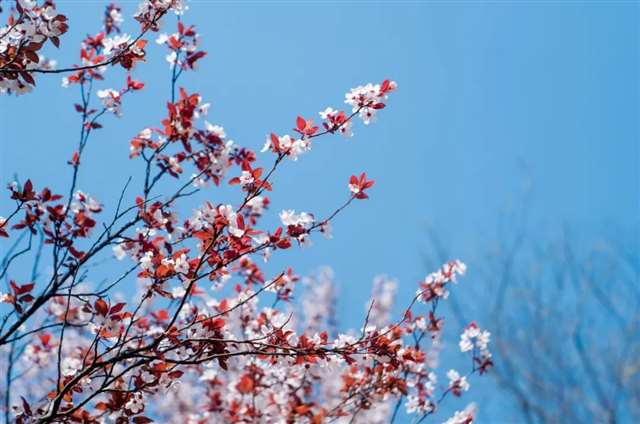 10首意境优美的小诗,美了眼,醉了心,惊艳了时光