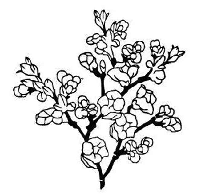 意境优美的古诗词赏析