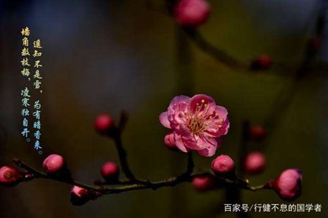 王安石最著名的十首诗