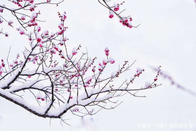 王安石最著名的十首诗