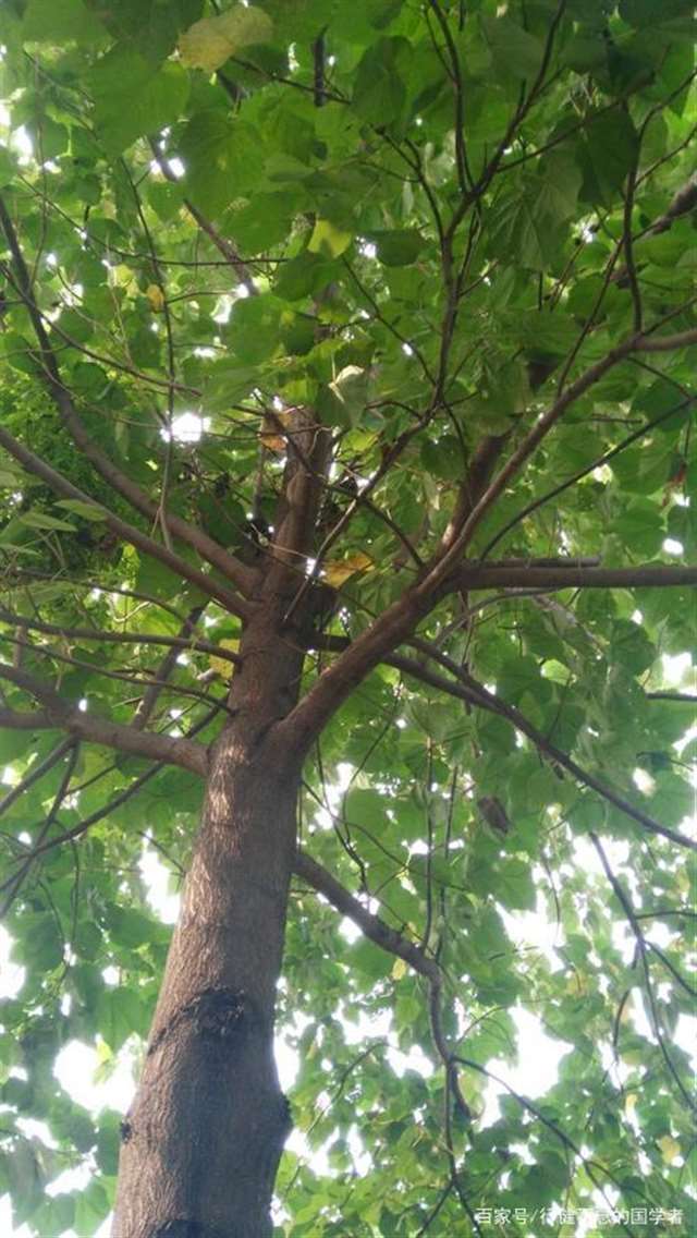 王安石最著名的十首诗