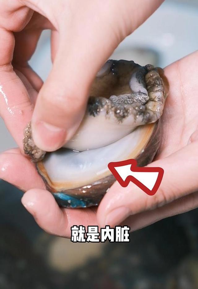 半夜把鲍鱼洗洗给你吃 你知道吗?