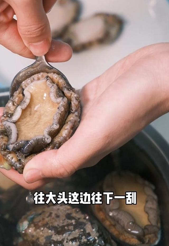 半夜把鲍鱼洗洗给你吃 你知道吗?