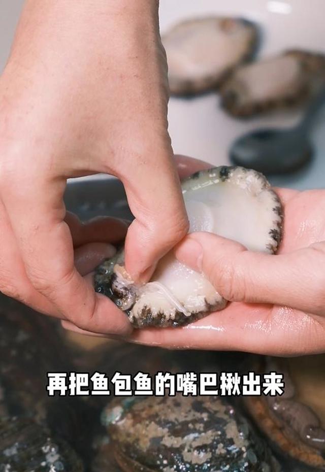半夜把鲍鱼洗洗给你吃 你知道吗?