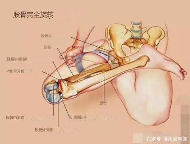莲花坐是怎么进入的 莲花座是什么姿势服务
