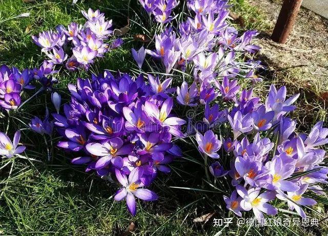 陪床保姆 性陪护