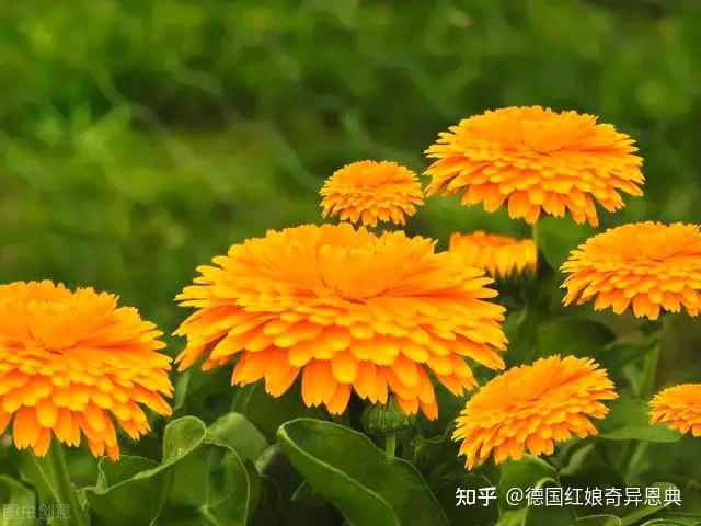 陪床保姆 性陪护