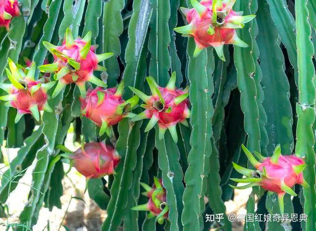 陪床保姆 性陪护