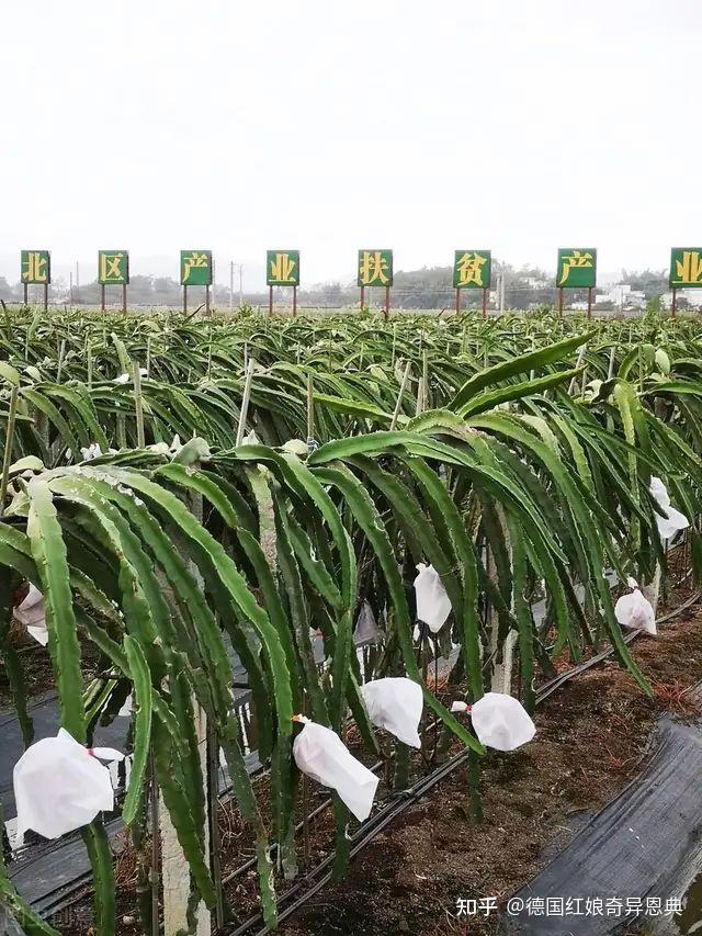 陪床保姆 性陪护