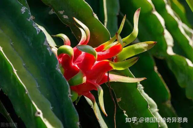 陪床保姆 性陪护