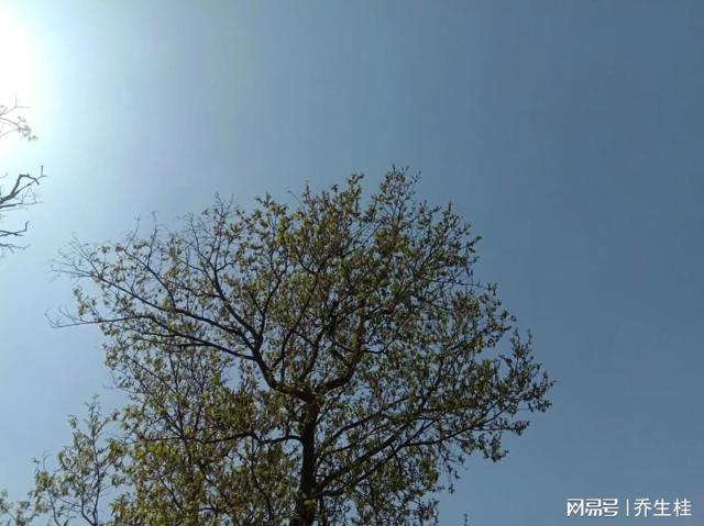 有没有私人招男保姆 私人女招聘陪护男