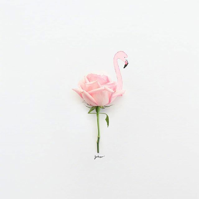 二月发朋友圈的早安短句，精致唯美，百读不厌！