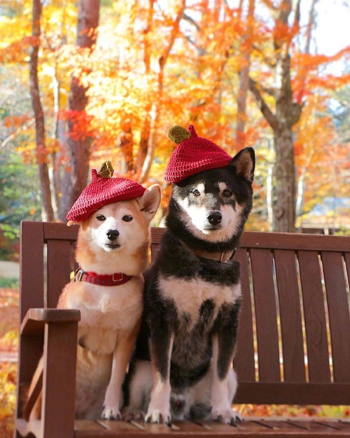 让女生听了无法拒绝的情话，很甜很撩人！