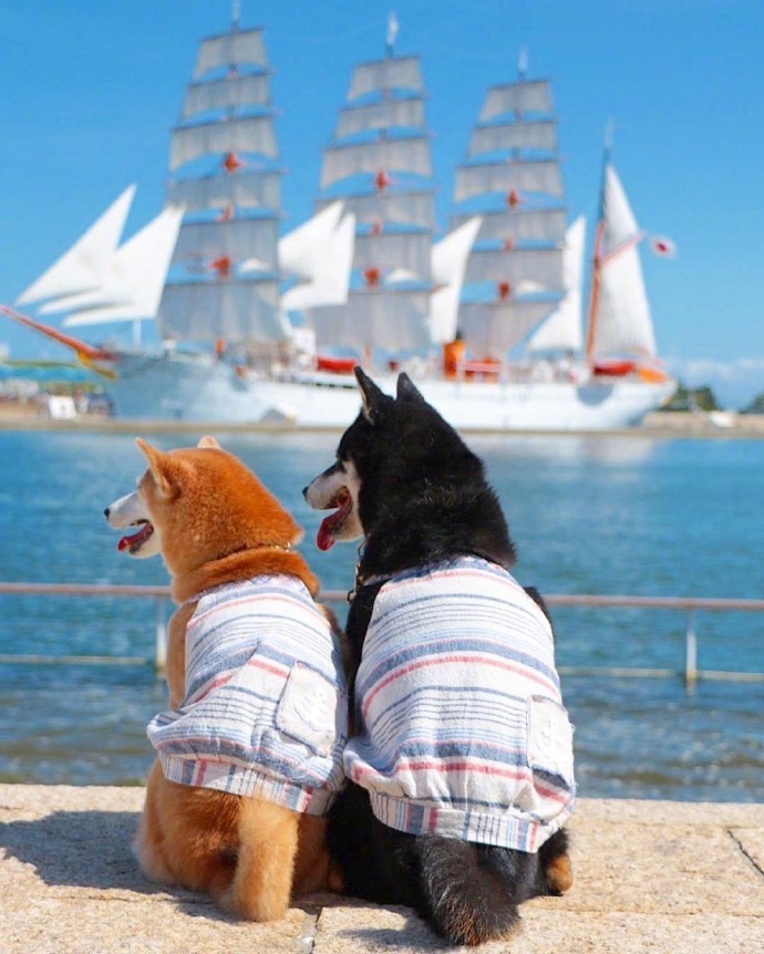 让女生听了无法拒绝的情话，很甜很撩人！