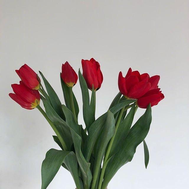 浪漫甜蜜唯美的爱情小句子，很甜很撩人！