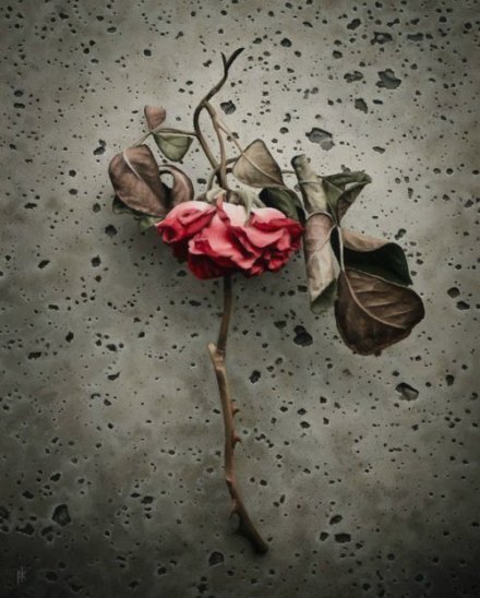 关于生活的有哲理的话，一句话点醒你的人生！