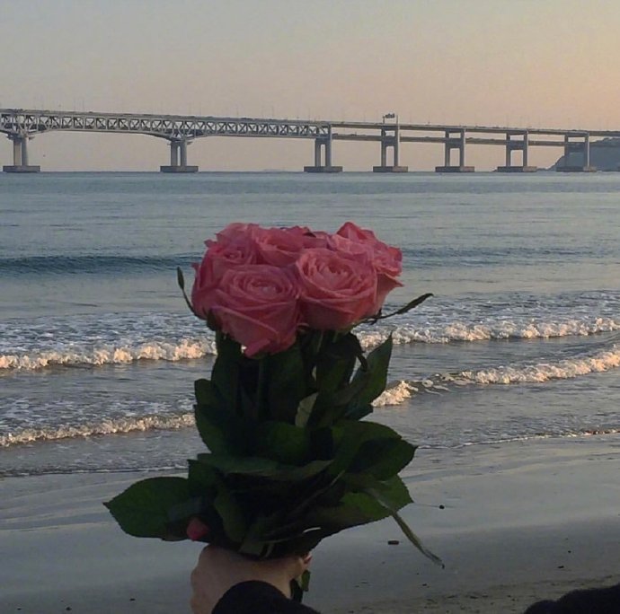 点赞超高的晚安句子，气质满分，令人倾心！