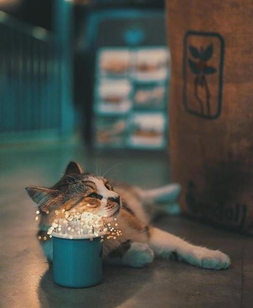 适合发朋友圈的哲理语录，一语惊醒梦中人！