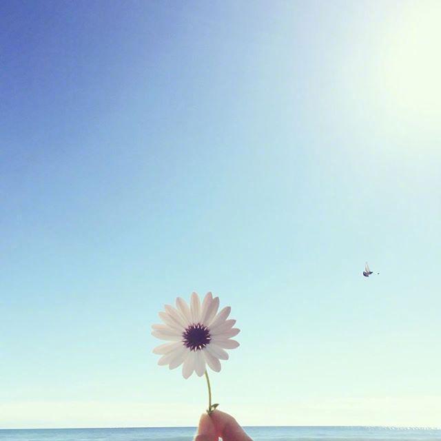 成长过程中学会的一些道理,发朋友圈引人深思!