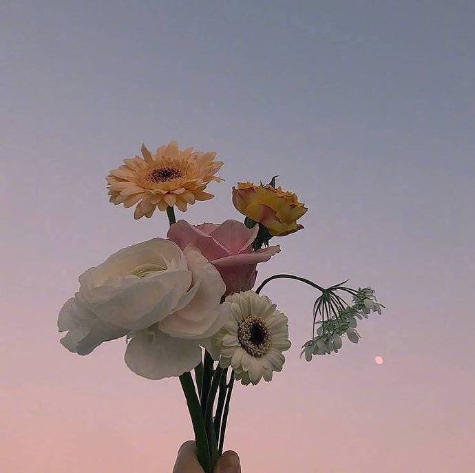 看透了很多的道理文案，每日一读，豁达一生！