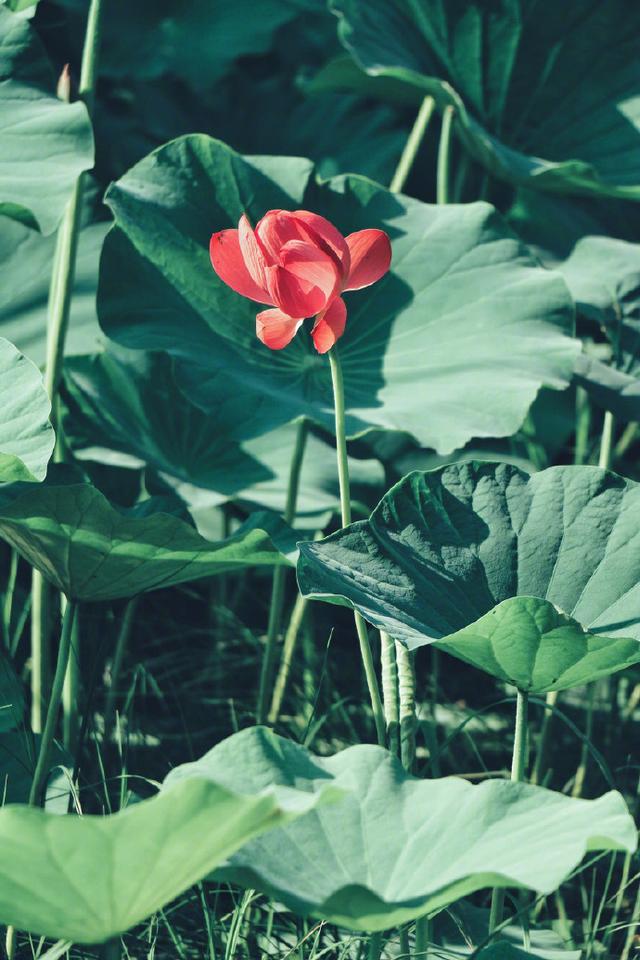 朋友圈感悟人生的现实语录，一语惊醒梦中人！