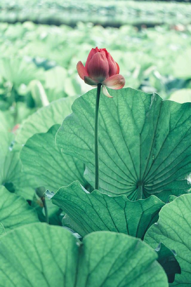 朋友圈感悟人生的现实语录，一语惊醒梦中人！