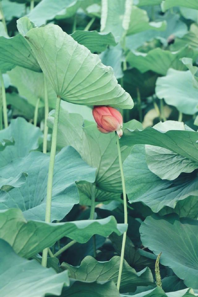 朋友圈感悟人生的现实语录，一语惊醒梦中人！