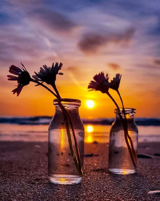 2021触动人心的哲理语录，句句值千金！