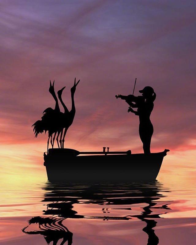 朋友圈很释然的人生格言，经典至极，大彻大悟！