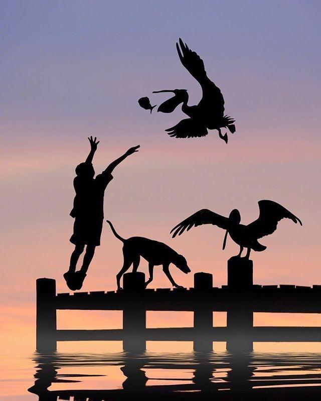 朋友圈很释然的人生格言，经典至极，大彻大悟！