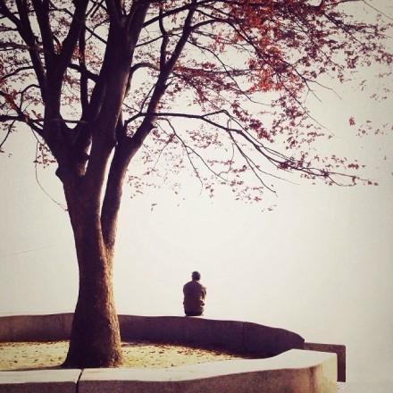 感悟人生的正能量句子带图片，让人瞬间醒悟！