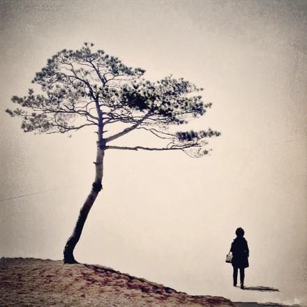 感悟人生的正能量句子带图片，让人瞬间醒悟！